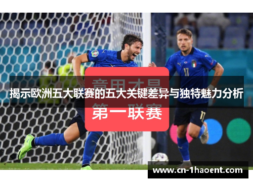 揭示欧洲五大联赛的五大关键差异与独特魅力分析