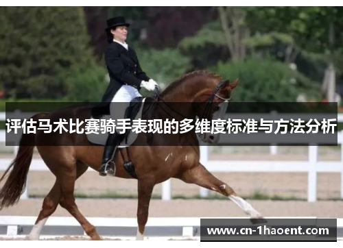 评估马术比赛骑手表现的多维度标准与方法分析